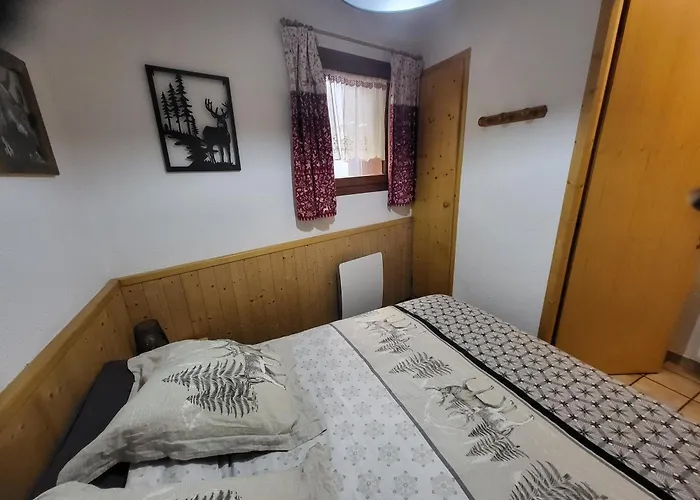 Appt 4 Pers - Proche Pistes Apartment